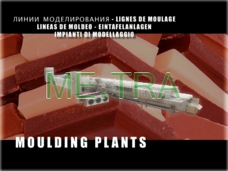 07 moulding plants